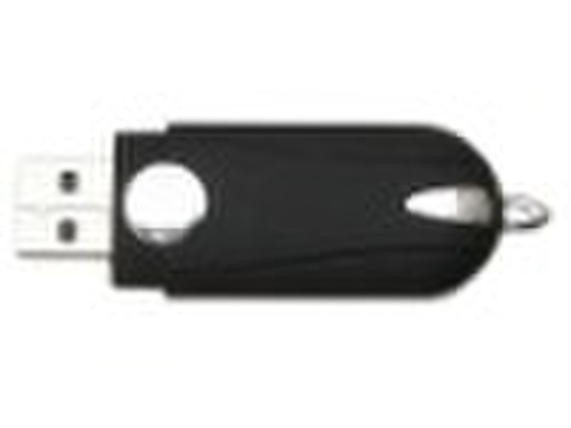 Practical 4gb usb flash drive