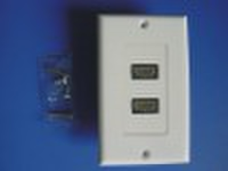 HDMI Wallplate with adapters (two ports)