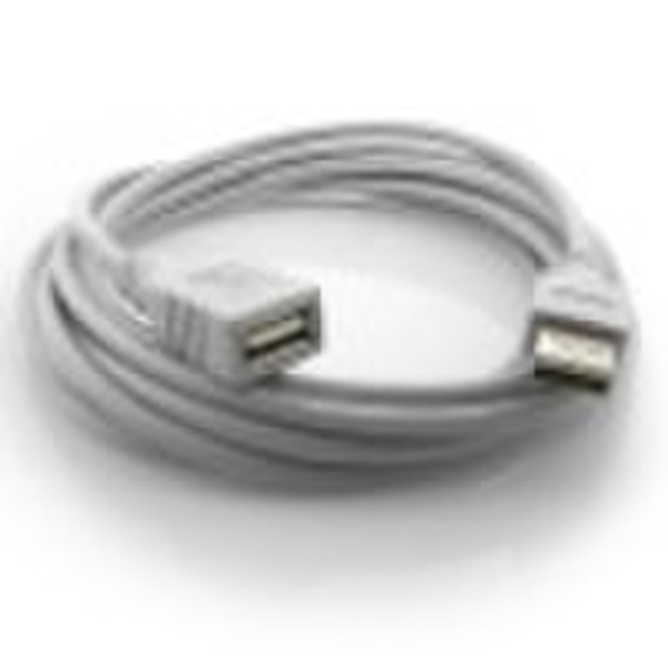 USB 2.0 morgens zum AF-Kabel