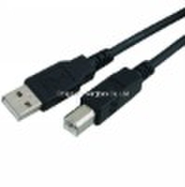 Mini USB Cable