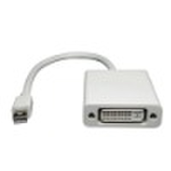 Mini DisplayPort to DVI Adapter Cable