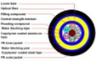 Armored Fiber Optic Cable (GYTA53)