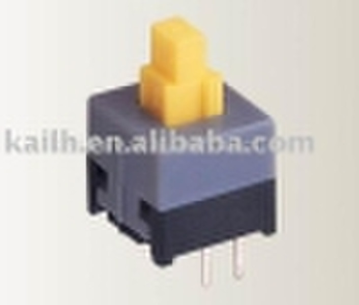 Push Button Switches (PG858409D01)