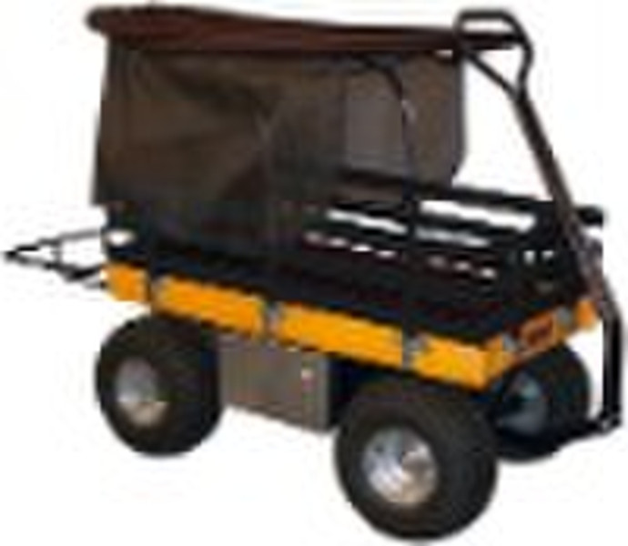 Kids Wagon TC2018B