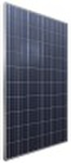 230W Solar Panel (Poly)