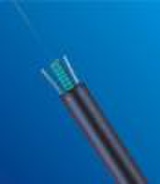 Central Tube Optical Fiber Cable