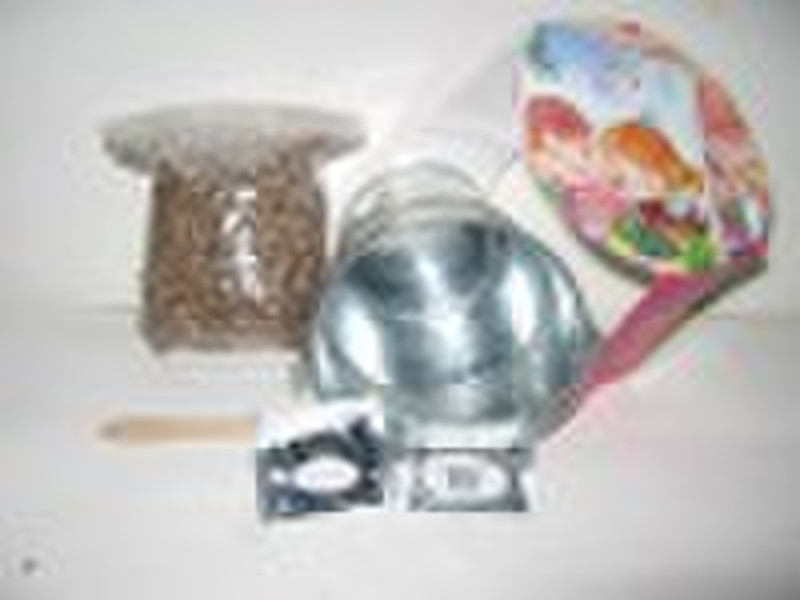 Metal bucket planting set