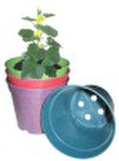 Biodegradable Flower Pot