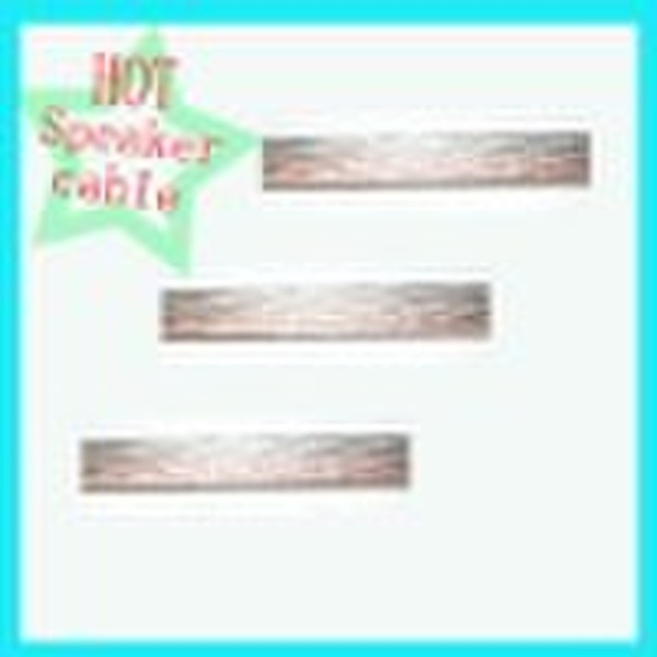 Gold and silver transparent speaker cable