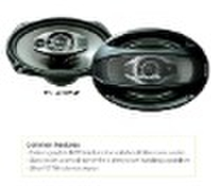 TS-A6973E Car Speaker