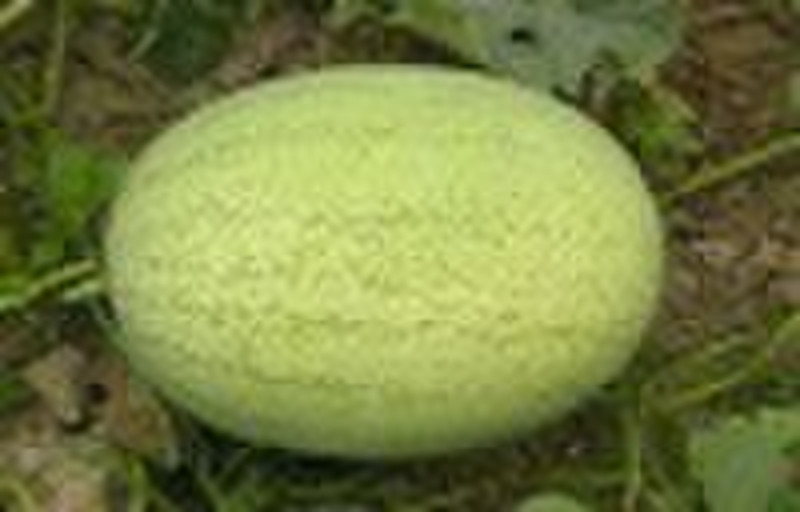Watermelon seed(Hua Bao)
