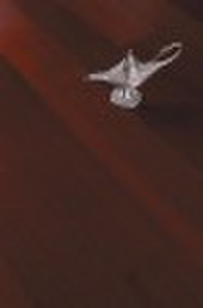 Taun Solid Wood Flooring -Stained Mocha color