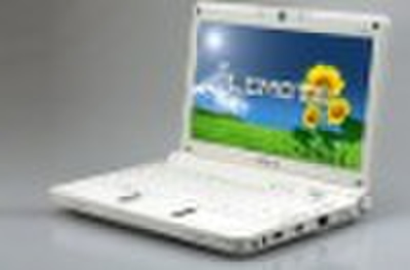 Yeeloong 8101 Laptop-01