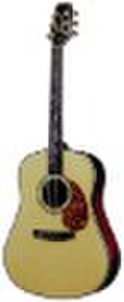 DS1500 Acoustic Guitar