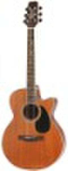 FMC-250NSOP Acoustic guitar