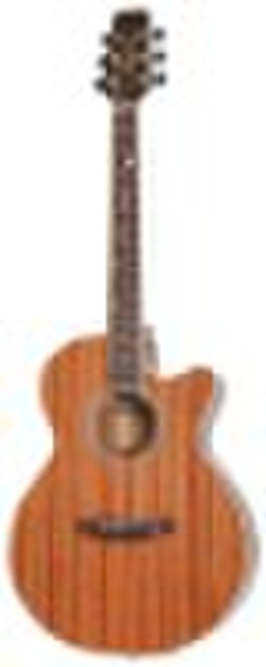 FMC-20NGS Acoustic guitar