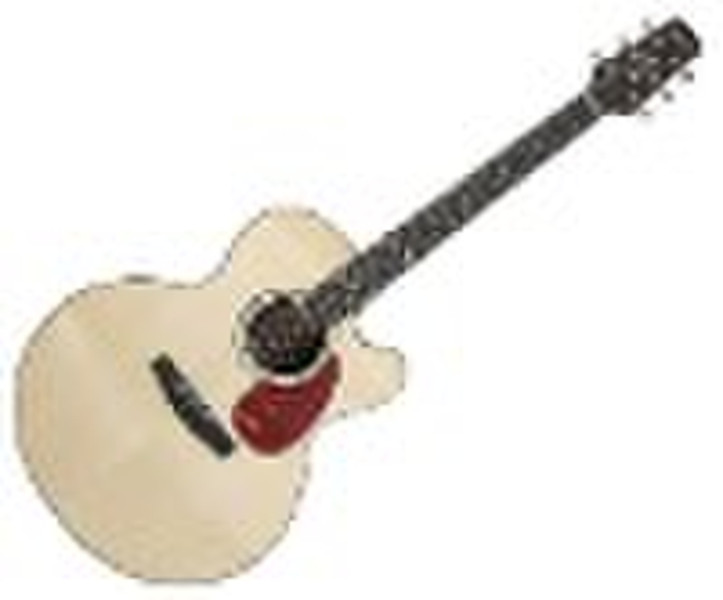 JRC-670NGS Acoustic guitar