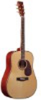 Solid Acoustic Guitar:EFG-41001N