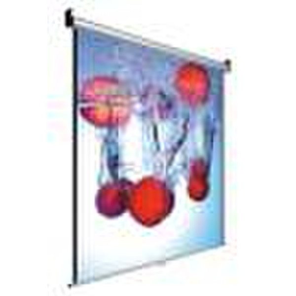 Manual projection Screen(High)