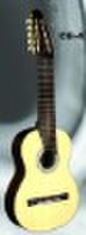 quality 10 string classical guitar at low price