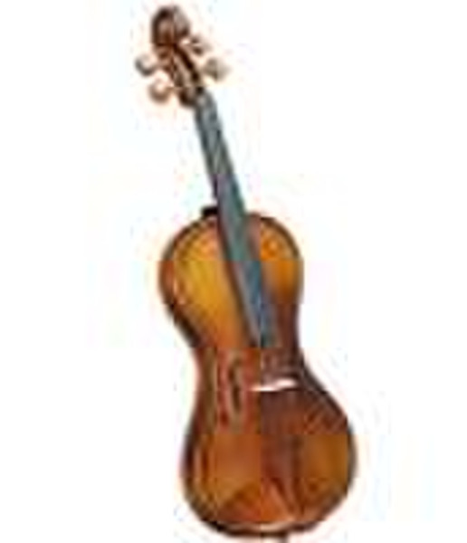 Antique Violin