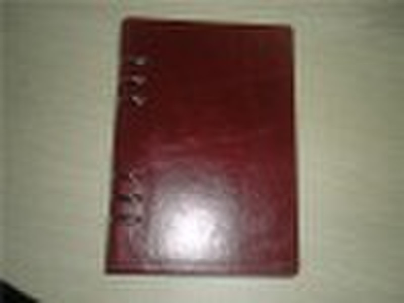 Gray 16 loose-leaf notebook open S01H13