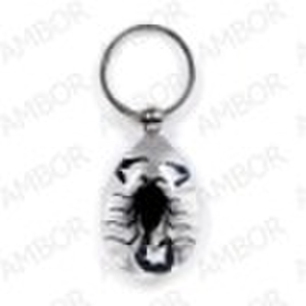 Real insect amber souvenir keychain