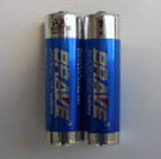 Camera Battery AA