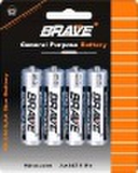 Primary&Dry Battery AA