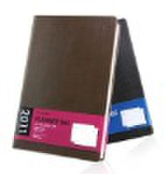 2011 leather planner