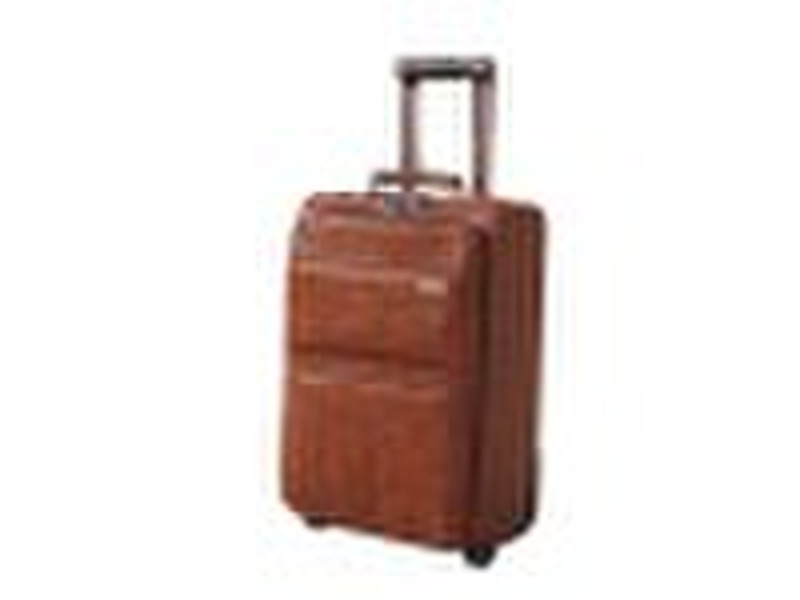 Beautiful PU trolley luggage