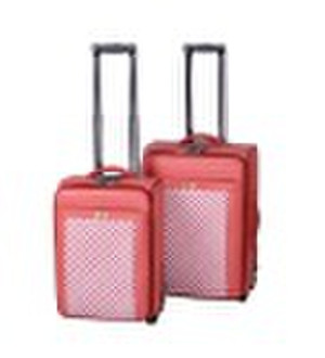 2010 fashion design luggage case