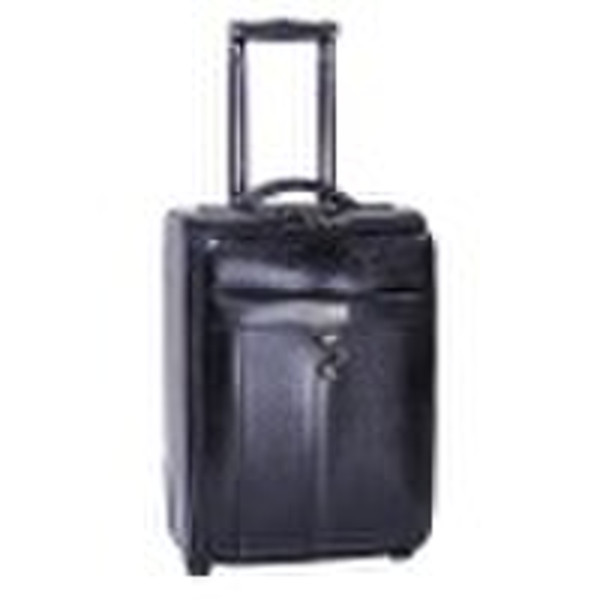 2010 fashion design wheeled luggage