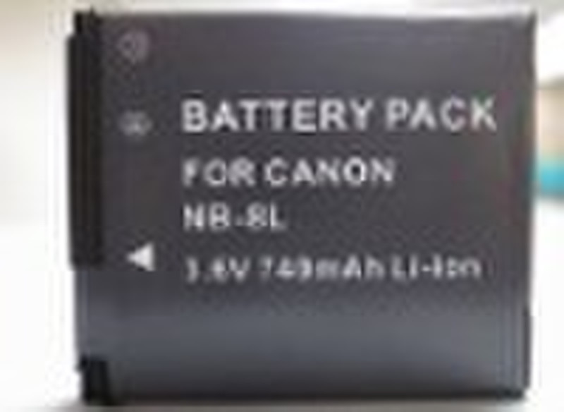 Digital camera battery