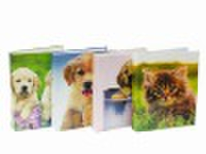 Paper file folder/Ring binder