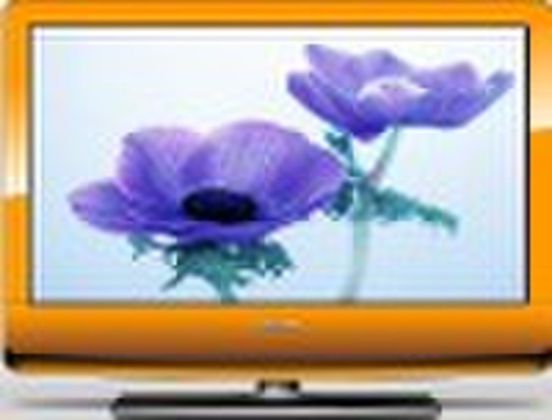 19 inch LCD TV