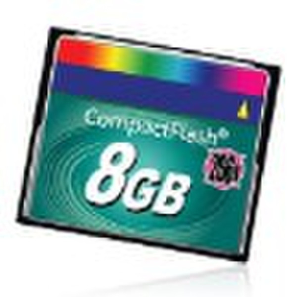 8GB CF Card