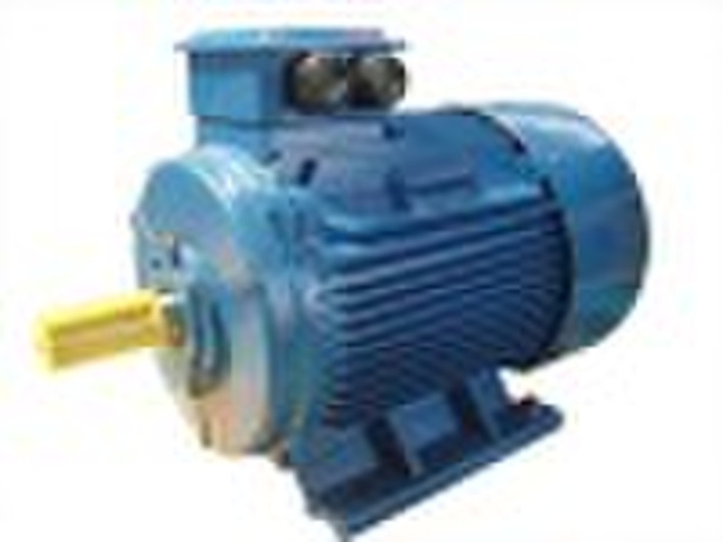 Portable Y2 Series Electric Motor