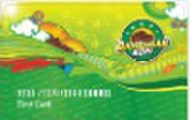 PVC Mifare Smart Card(ISO9001:2008 Approved)