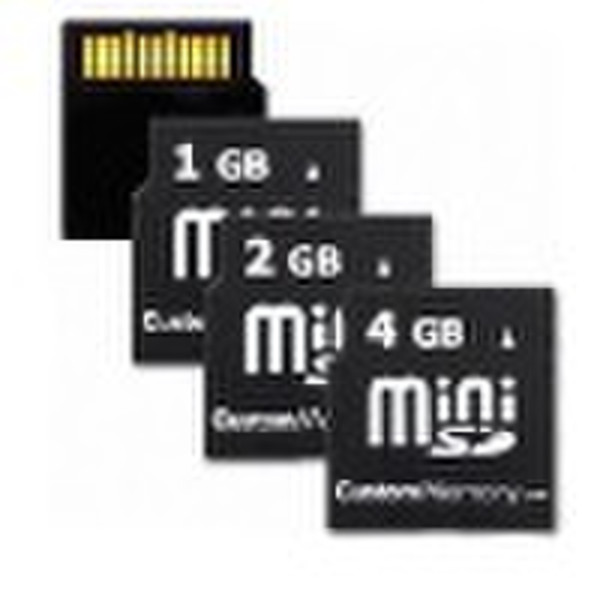 Mini SD card with original chip from FSI-Eric