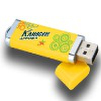 Promotion oem plastic USB 2.0