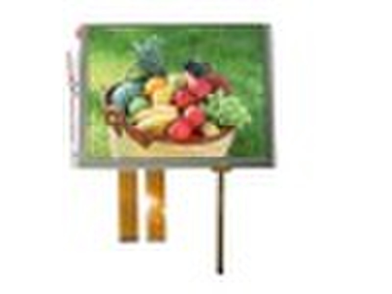 7.0 inch TFT LCD display (800X600 Resolution)