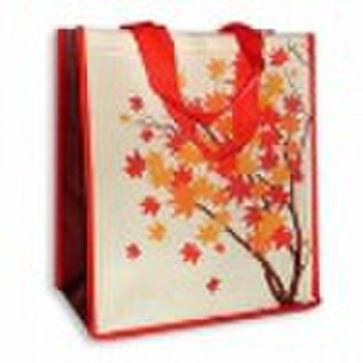 PP Non-Woven-Tasche