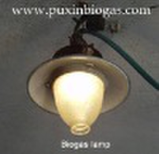 Biogas lamp