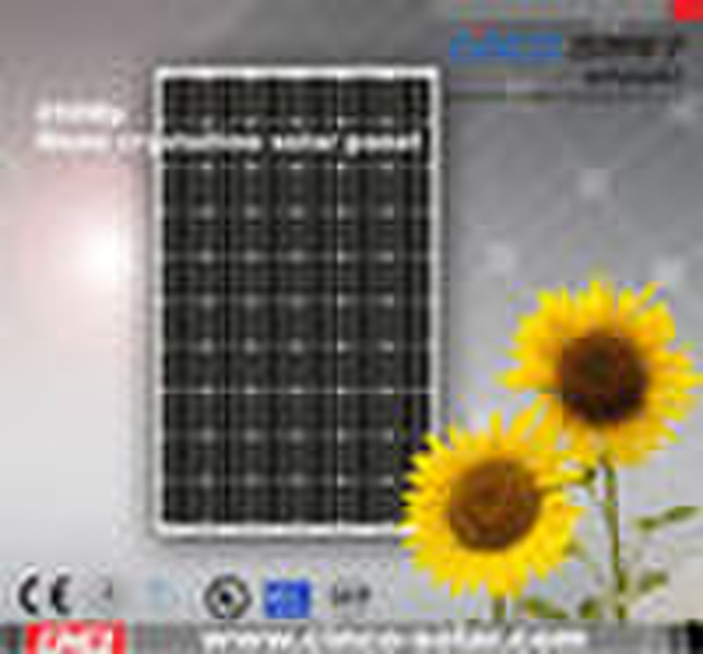 solar panel module