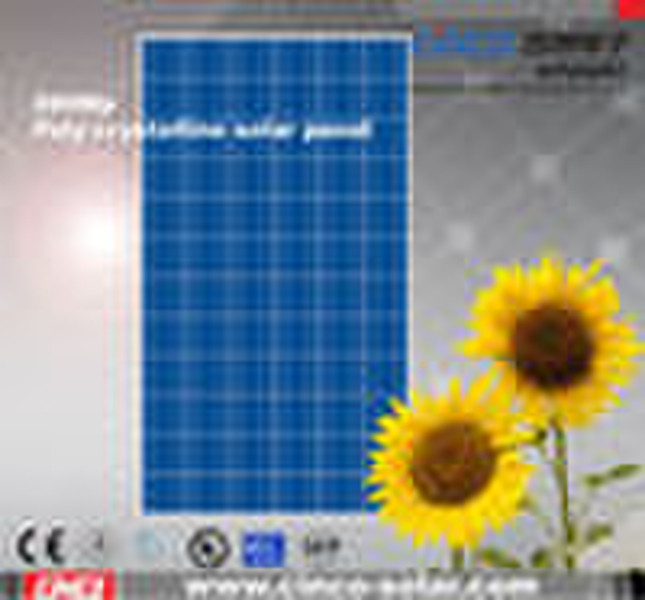 poly solar module