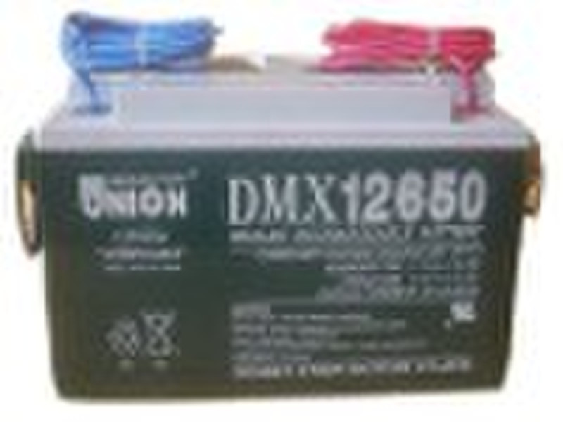 Глубокий цикл батареи DMX12650