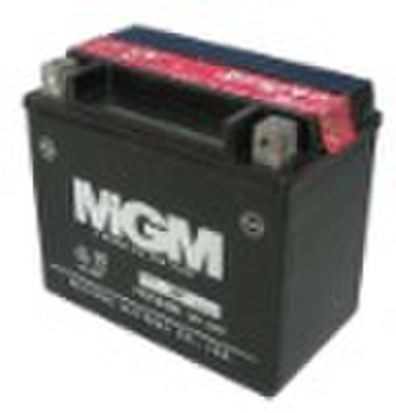 MF Lead Acid Battery