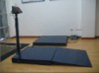 platform scale 1*1M-1t