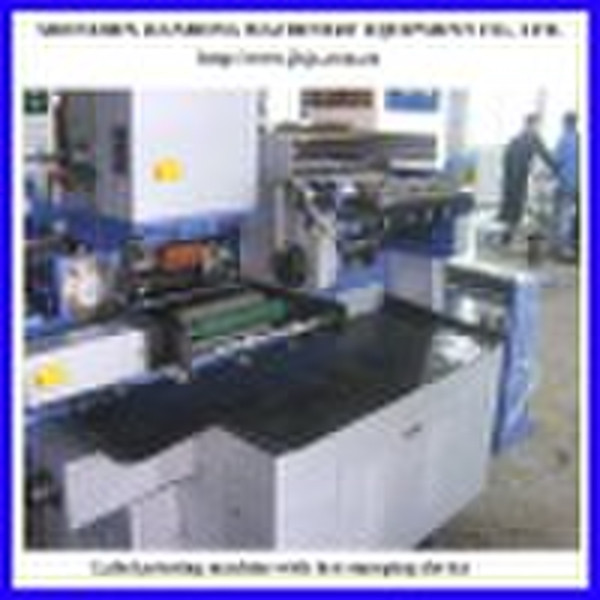 Automatic Label Printing(hot stamping) machine
